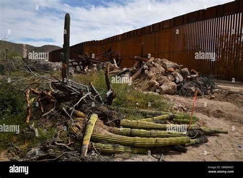 Construction Of A Metal Border Wall In Organ Pipe Cactus National