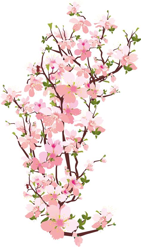 cherry blossom tree png anime cherry blossom by missingone123 on deviantart find and download