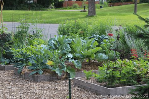Creative Vegetable Gardenerfavorite Gardening Podcasts You Should Be