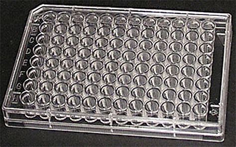 96 Well Cell Culture Plate Bioflow Lifescience Sdn Bhd