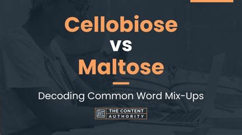 Cellobiose Vs Maltose Decoding Common Word Mix Ups