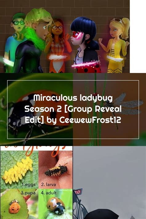 Miraculous Ladybug Season 2 Group Reveal Edit By Ceewewfrost12 In
