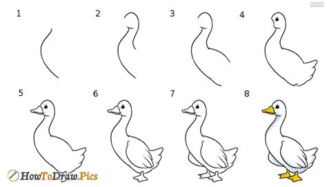 How To Draw Cartoon Goose Pictures Cartoon Goose Step By Step Drawing