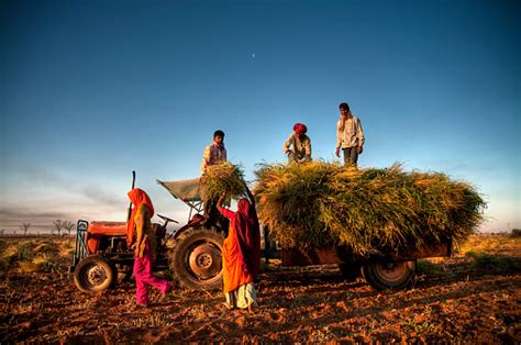 500 Indian Farmer Pictures Hd Download Free Images On Unsplash