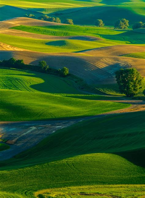 This Is The Picture Perfect Palouse In Washington State Its The