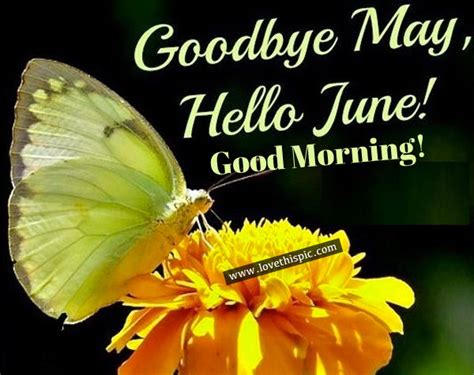 Goodbye May Hello June Good Morning Pictures Photos And Images For