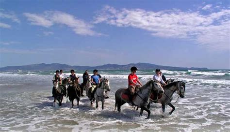 Sie können die verschiedenen spanischen, andalusischen und lusitanischen reinrassigen pferde finden, die wir zum verkauf anbieten. Panorama Trails, Rudi Stolz, Katalonien Wanderreithof Spanien