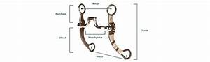 The Western Guide To Types Of Bits How To Pick A Bit For Your Horse