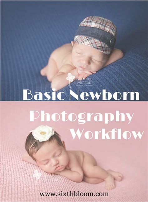 Beginners Guide To Newborn Photography Workflow Tips