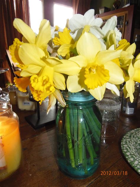 Daffodils In Mason Jar Outdoor Gardens Daffodils Mason Jars