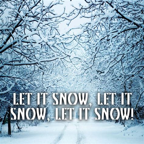 17 Best Images About Let It Snow On Pinterest