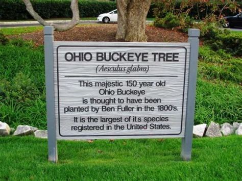 Interesting Facts About Ohio Ohfact
