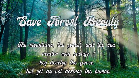 Importance Of Forest Day Latest World Events Images Wallpapers