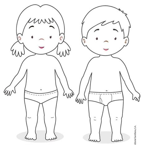 Dibujos Para Colorear Cuerpo Humano