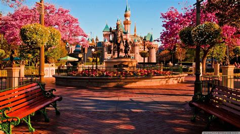 4k Walt Disney World Wallpapers Top Free 4k Walt Disney World