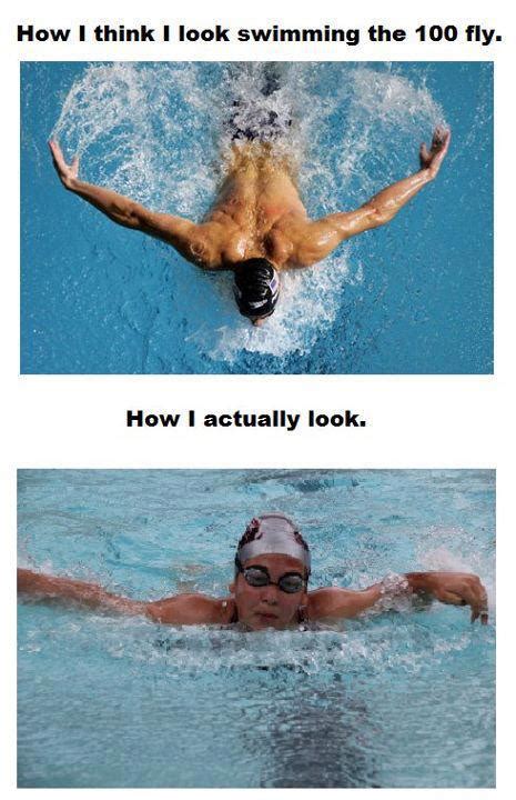 It ain't easy bein cheesy. A Teen Reader's Resource: PA #23 Swimming Memes