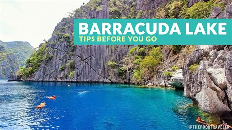 Barracuda Lake Coron Important Tips Philippine Beach Guide