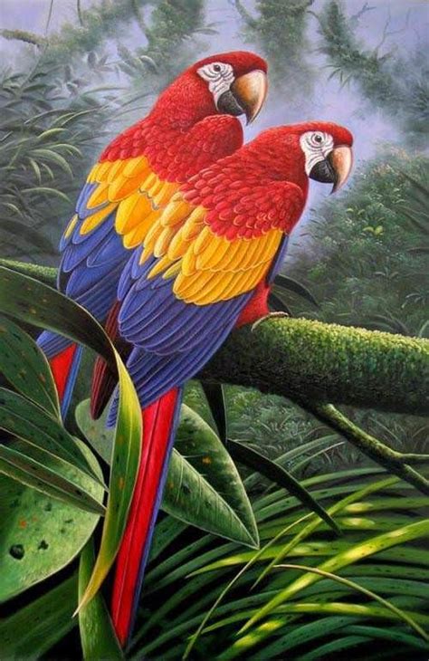 Lovely Parrots Painting Beautiful Birds Parrot Painting Birds Painting