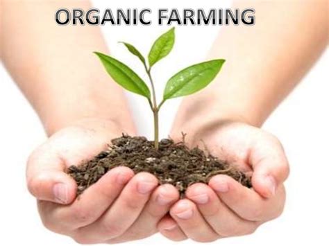 Sustainable Agriculture Introduction To Organic Farming