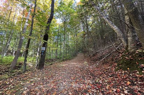 Boyne Valley Provincial Park In Ontario Is An Under The Radar Fall Day