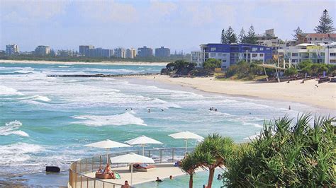 Our cheap pest control sunshine coast services consist of termite control sunshine coast properties can not do without. Kings Beach Pest Control🥇【See Offers】- Sunshine Coast Pest ...
