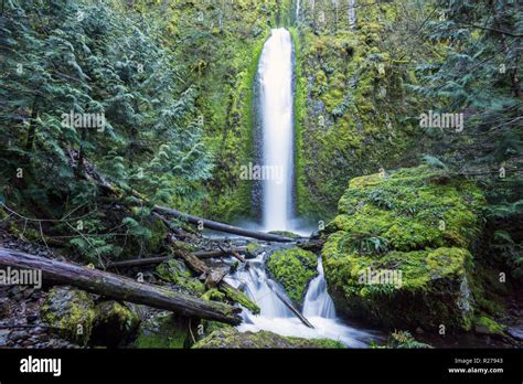 Gorton Creek Falls Columbia River Gorge Oregon Secluded 150 Foot