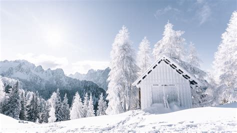 Download Wallpaper 1366x768 Winter Landscape Forest White Tree