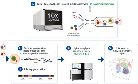 A final element for all ngs workflows is the critical data analysis step that occurs after sequencing. Single-Cell RNA-Sequencing - Next Generation Sequencing ...