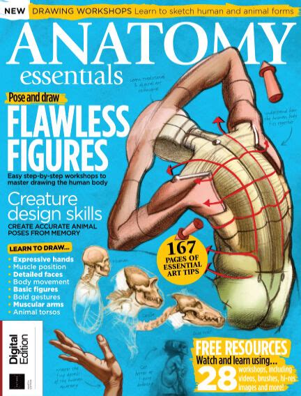 Read Anatomy Essentials Magazine On Readly The Ultimate Magazine Subscription S Of