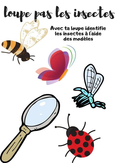 Tout Sur Les Insectes Insectes Les Petites Betes Carte Didentité