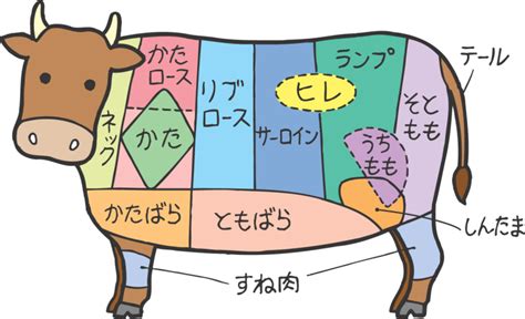 宅男腐女的爱好导航。 地址发布页： lanse.icu 最新地址： ldh. お肉の部位を勉強しよう!【休日特集】 | ニッポンの『旨いっ ...