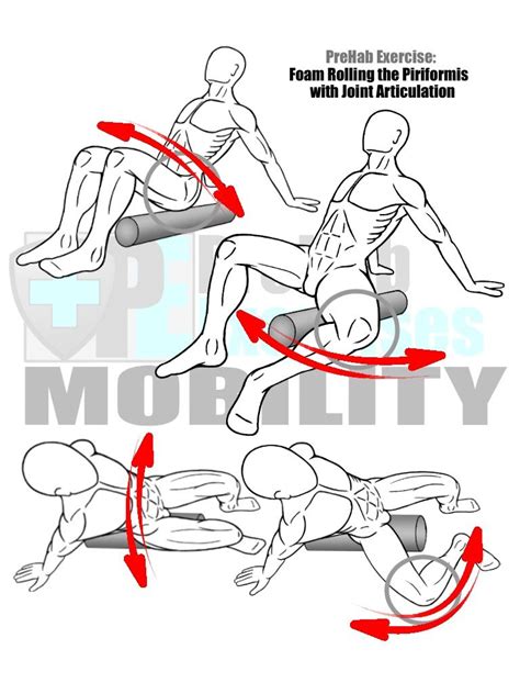 Guide To Foam Rolling A Basic Blueprint For Soft Tissue Therapy Prehab Exercises Fascia