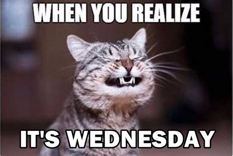 145 Funny Wednesday Memes With Images Slicontrolcom
