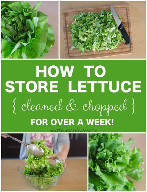 How To Store Cleaned Chopped Lettuce For At Least A Week Six Clever