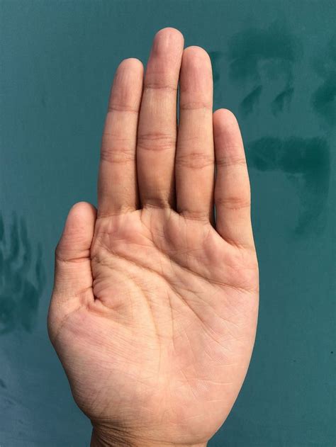 Hand Palm Background