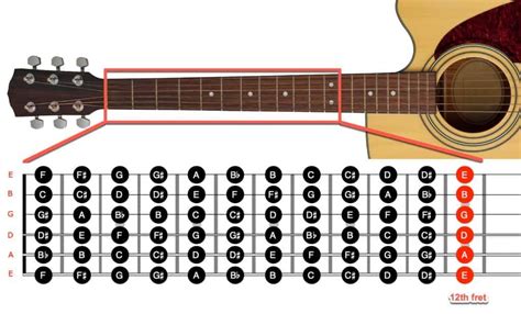 String Bass Guitar Fretboard Chart