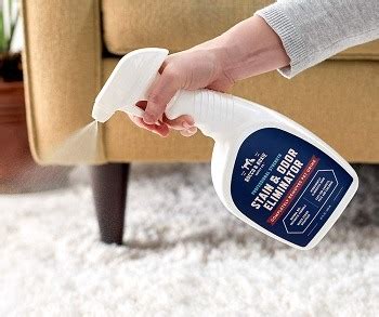 Best Carpet Cleaner for Dog Urine 2020- Reviews & Top ...