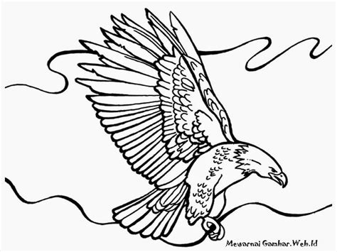 Kumpulan gambar sketsa burung lengkap dengna cara membuat sketsa burung elang, garuda, merpati, burung dipohon, merak, serta tahapanya. Gambar Burung Garuda Pancasila Untuk Mewarnai - GAMBAR MEWARNAI HD