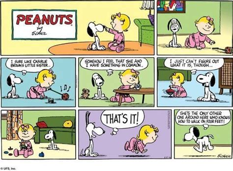 Why Snoopy Is The Absolutely Best Peanuts Comics Character