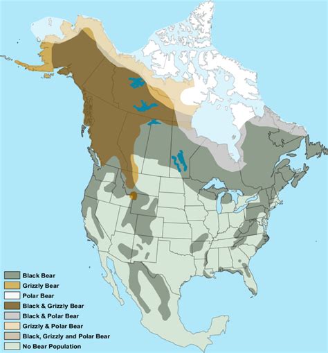 Map Of Habitat Locations For The 3 North American Bears