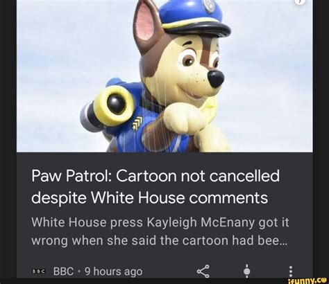 Paw Patrol Cartoon Not Cancelled Despite White House Comments White