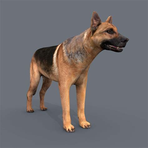 My Dog German Shepherd 3d Model By Virtual Creator And Creature