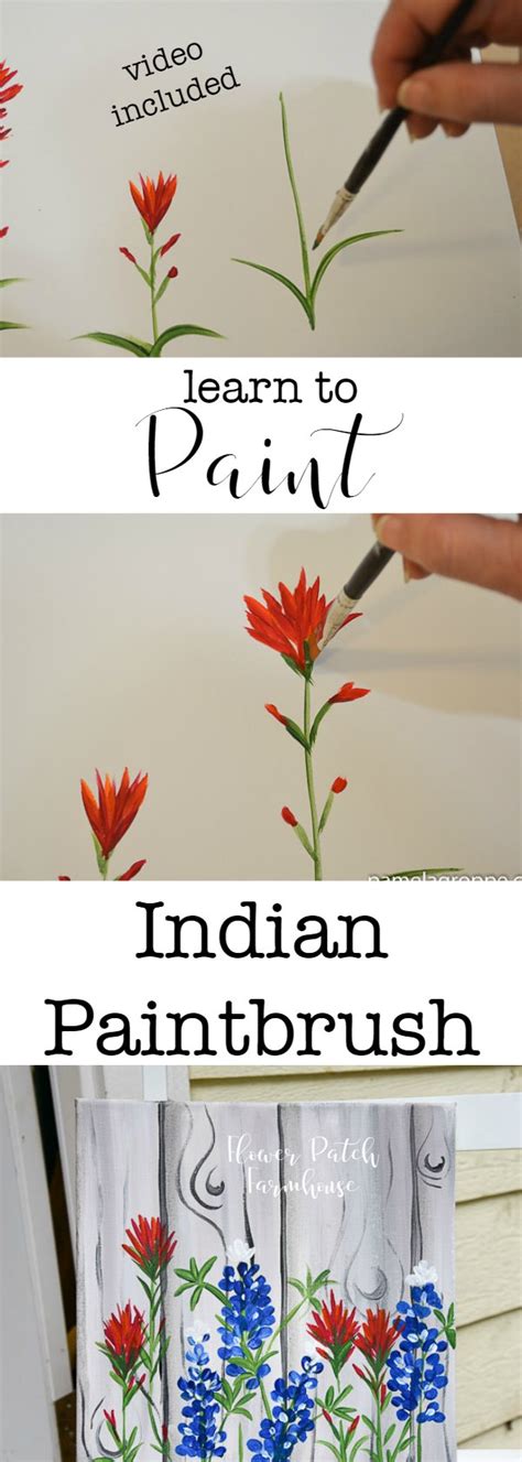 Paint in some leaves to sit behind the flowers (link at bottom of this post to how to paint leaves). Paint Indian Paintbrush - Flower Patch Farmhouse