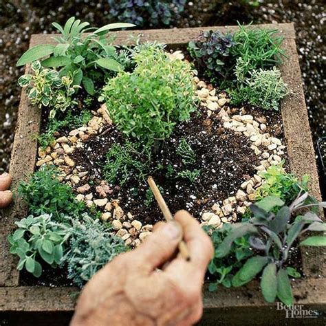 Make A Mini Herb Garden In Less Than An Hour Featuring A Tiny Herb