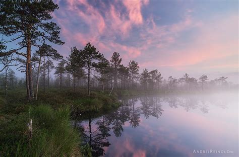 In Harmony Landscape Trees Landscape Lake Water