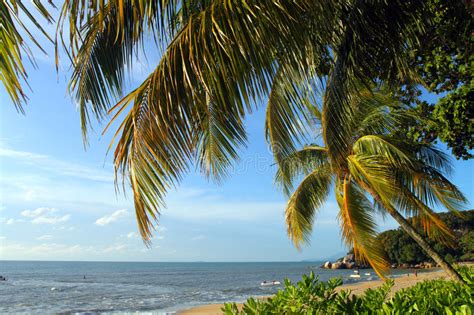 Have around 2 hours of footages to be included in this 2 minutes video. Sandy-Strand In Batu Ferringhi, Penang-Insel, Malaysia ...