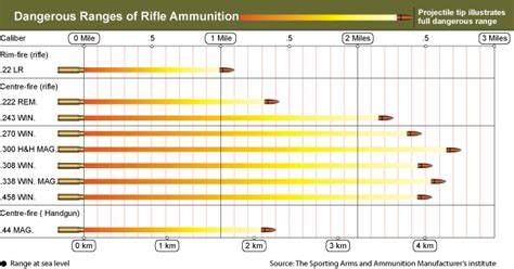 Ammo And Gun Collector Rifle Caliber And Shotgun Load Dangerous Range