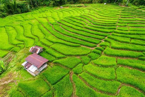 Tunggu dulu jangan berkomentar apa pun terlebih dahulu. 20 Tempat Menarik di Tambunan, Sabah Untuk Percutian ...