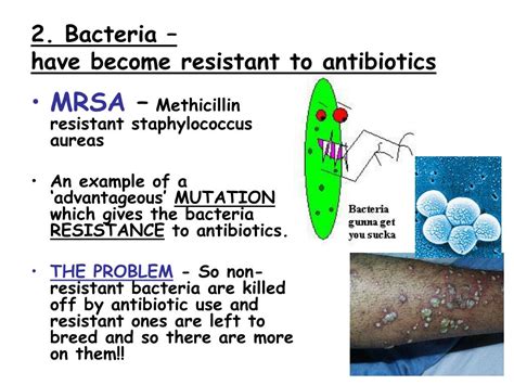 How Bacteria Develop Resistance To Antibiotics