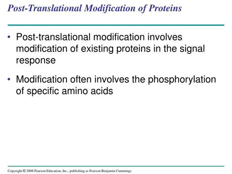 It may involve the modification of the amino acid side chain, terminal amino or carboxyl group by means of covalent or enzymatic means following protein biosynthesis. PPT - Chapter 39 PowerPoint Presentation - ID:5581675
